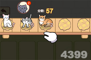 “张雪峰心脏骤停被送医抢救”传闻持续发酵,多平台直播间相继中断,多方回应