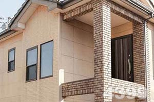 崔永元吸猫甘做“铲屎官” 如此回应“炮轰范冰冰”…