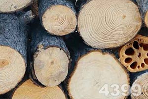 迈瑞与GMSL™3:微创手术,超清...