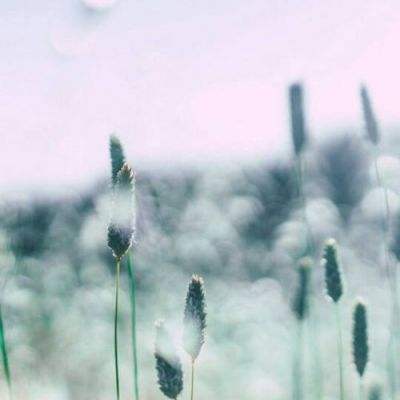 美元指数24日上涨